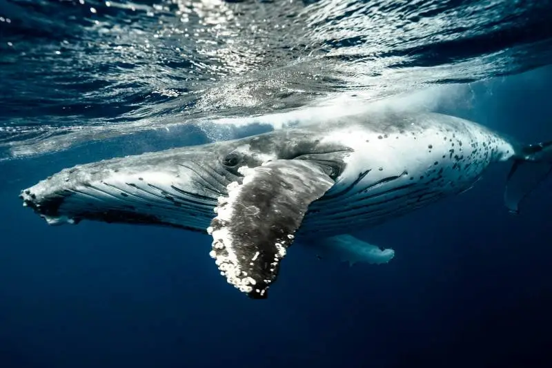 Tần Số Riêng ku casino kubet : Vượt Ra Khỏi Khuôn Mẫu và Tìm Thấy Tiếng Hát Của Bản Thân